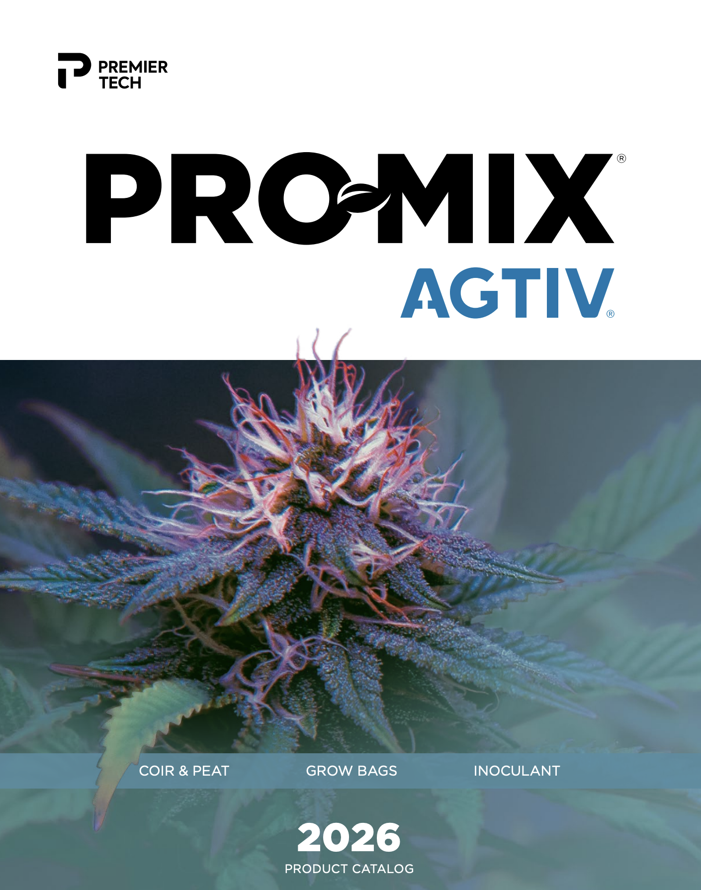Catalog image