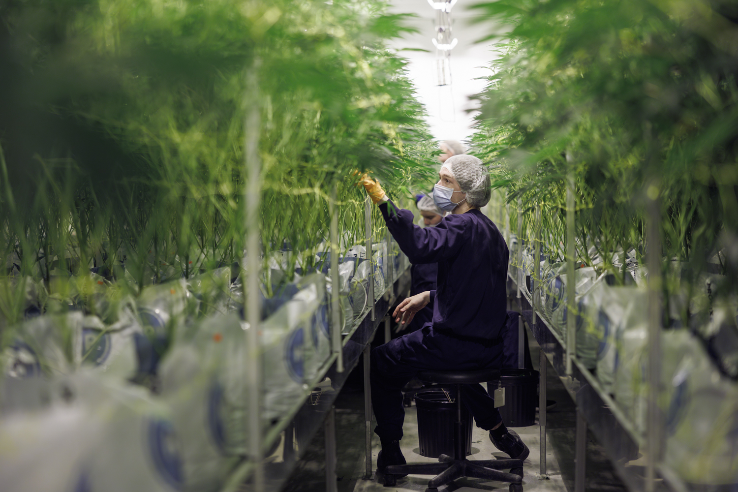 An Easier, Faster and Cleaner Way to Grow