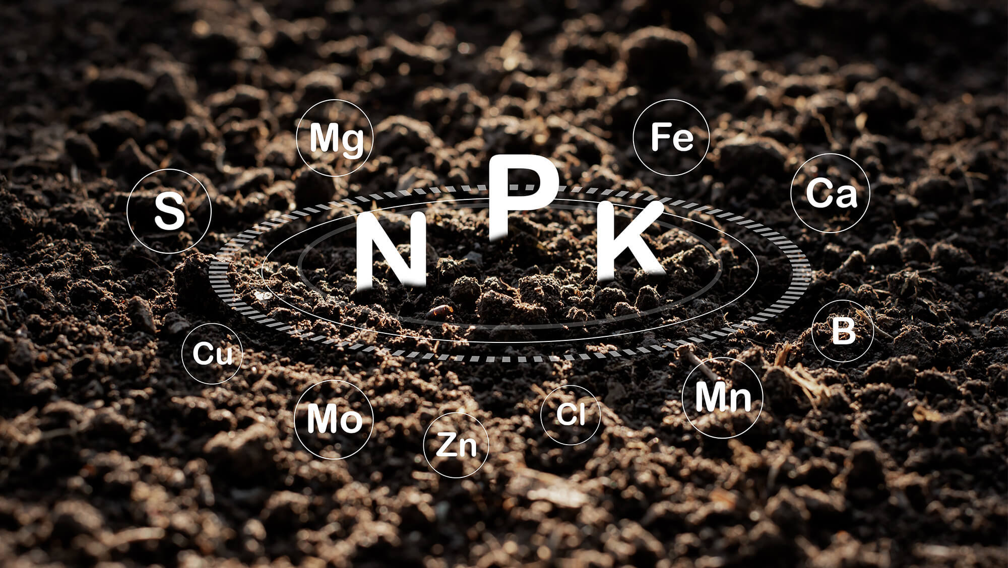 How to Read Fertilizer Labels for Cannabis Crops | NPK, EC, pH & Nutrient Forms 