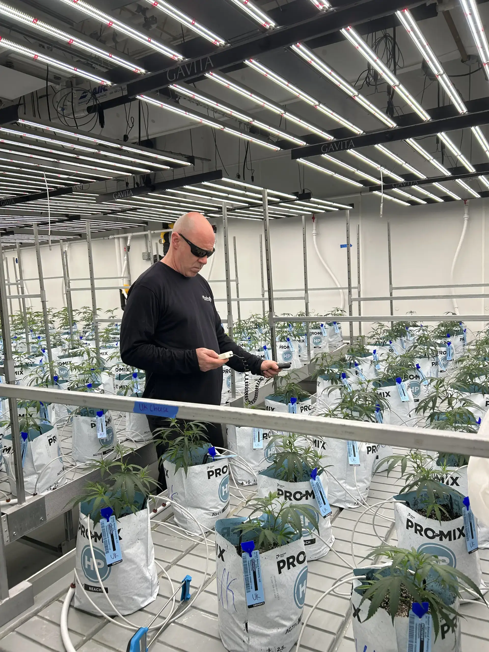 Keith Saviano, Head of Cultivation at Nimbus Cannabis