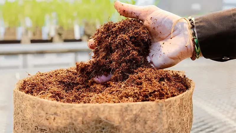 Coco in hand from PRO-MIX CX plant-based packaging 