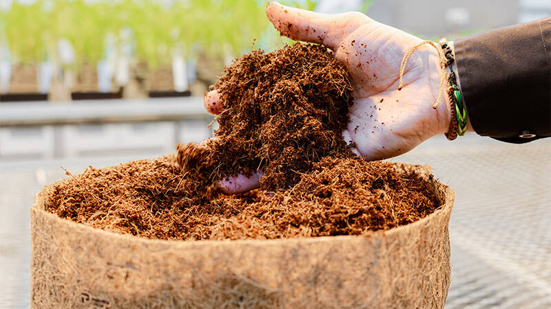 Coco in hand from PRO-MIX CX plant-based packaging 