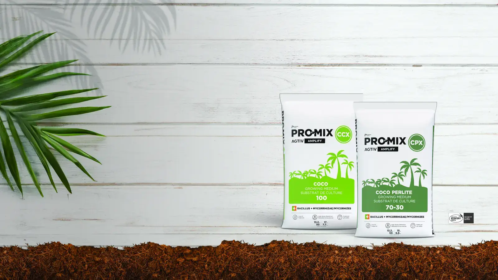 PRO-MIX CCX - CPX AMPLIFY blog header right