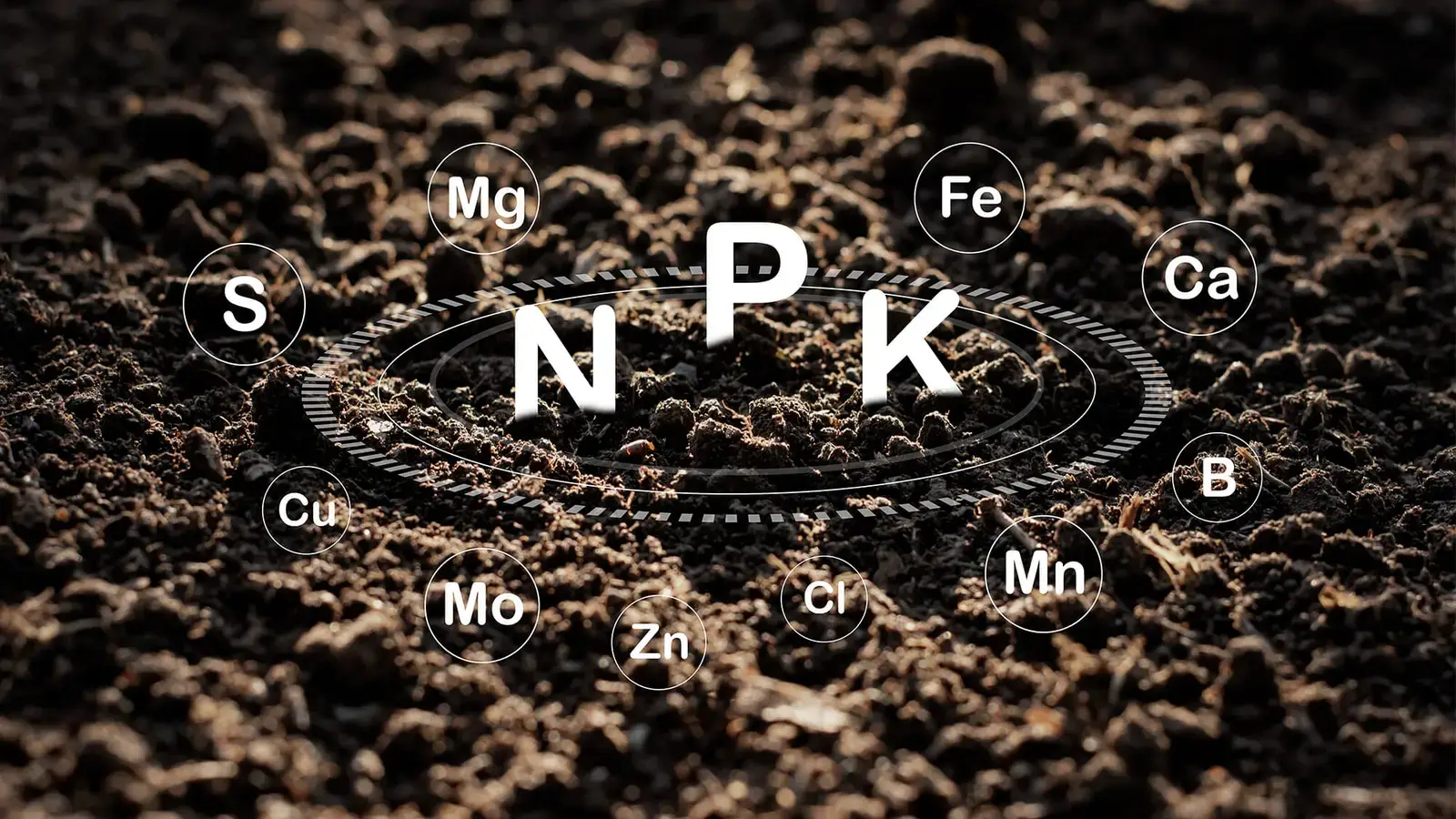 NPK
