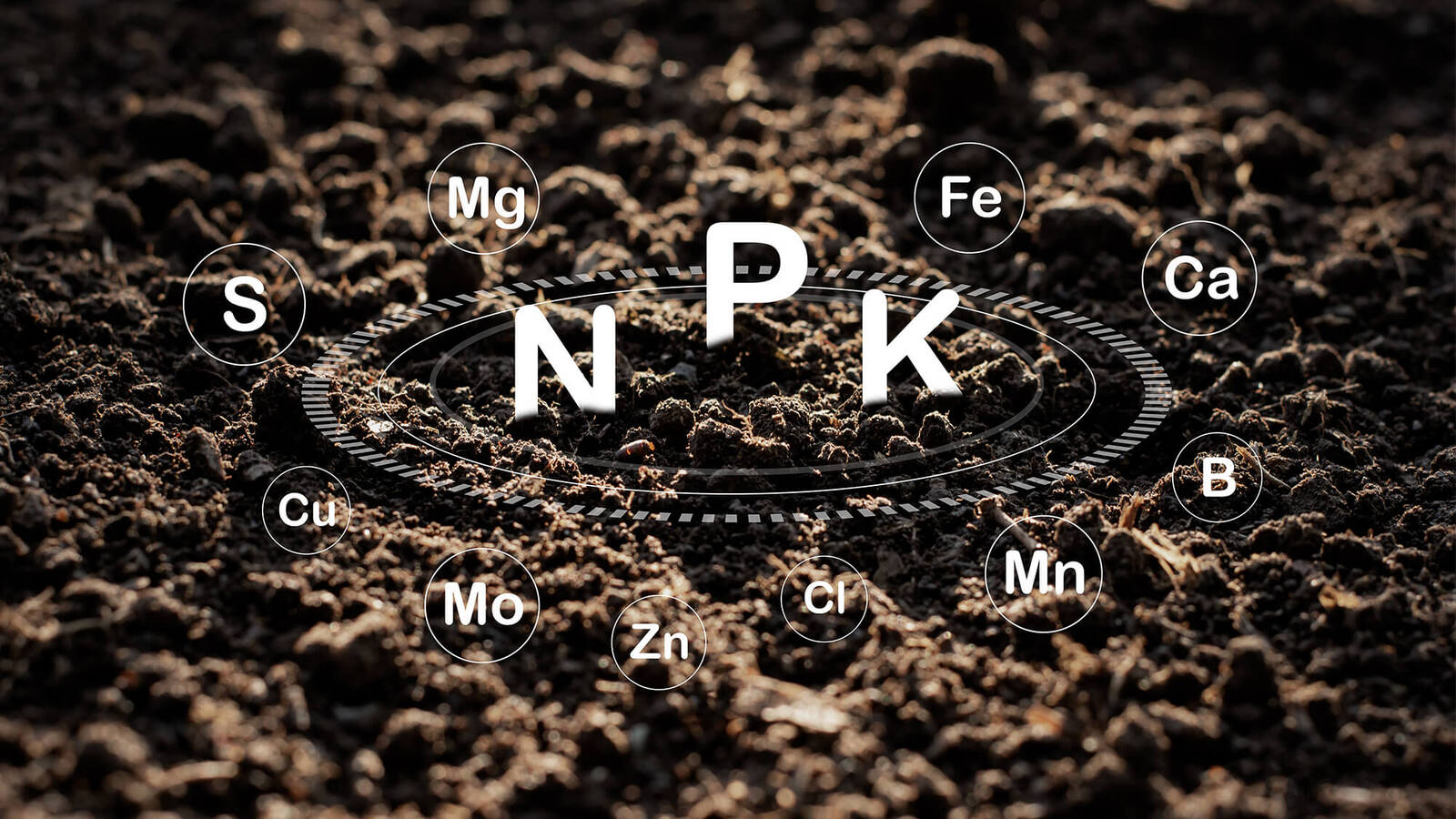 NPK