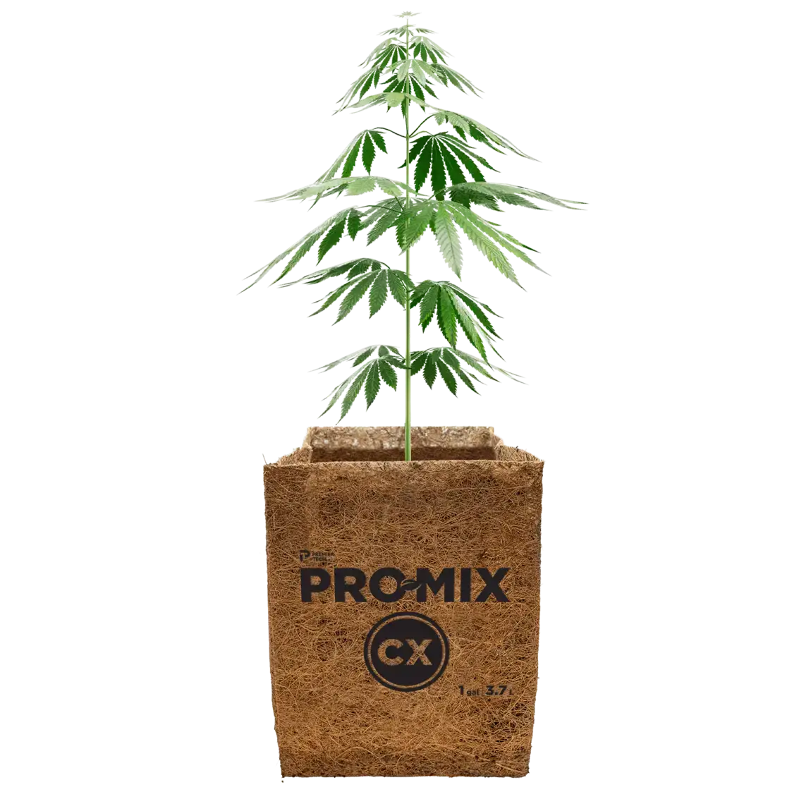PRO-MIX CX plant based with a cannabis plant