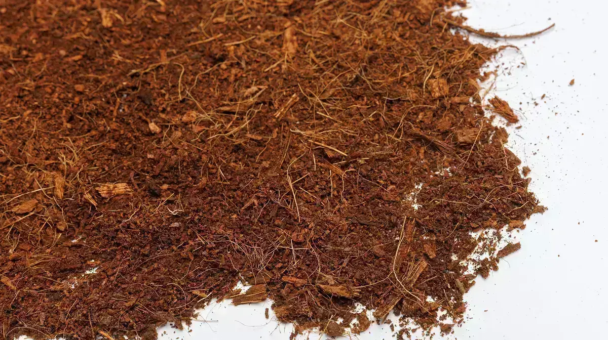 Coir growing media