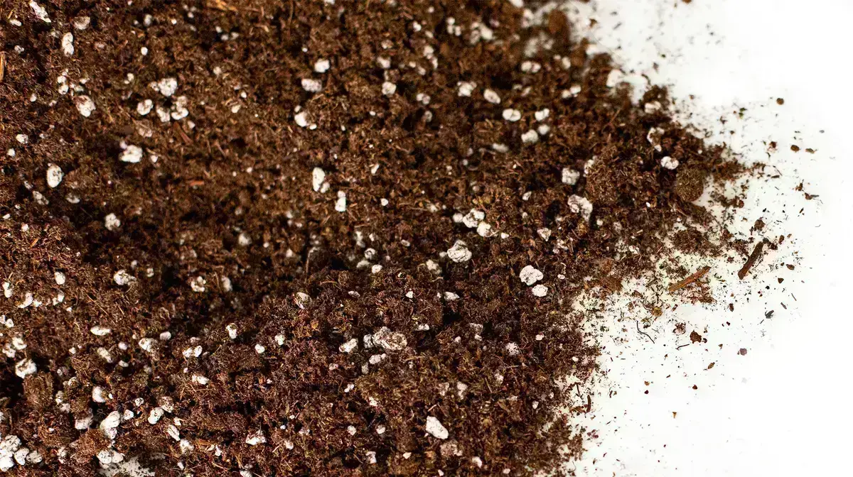 Peat growing media